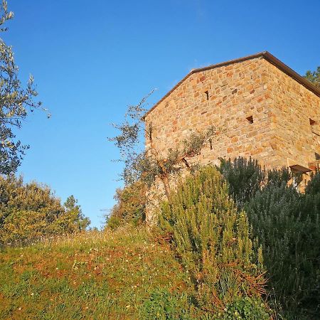 Cottage La Torre Del Pittore Bonassola Exteriör bild