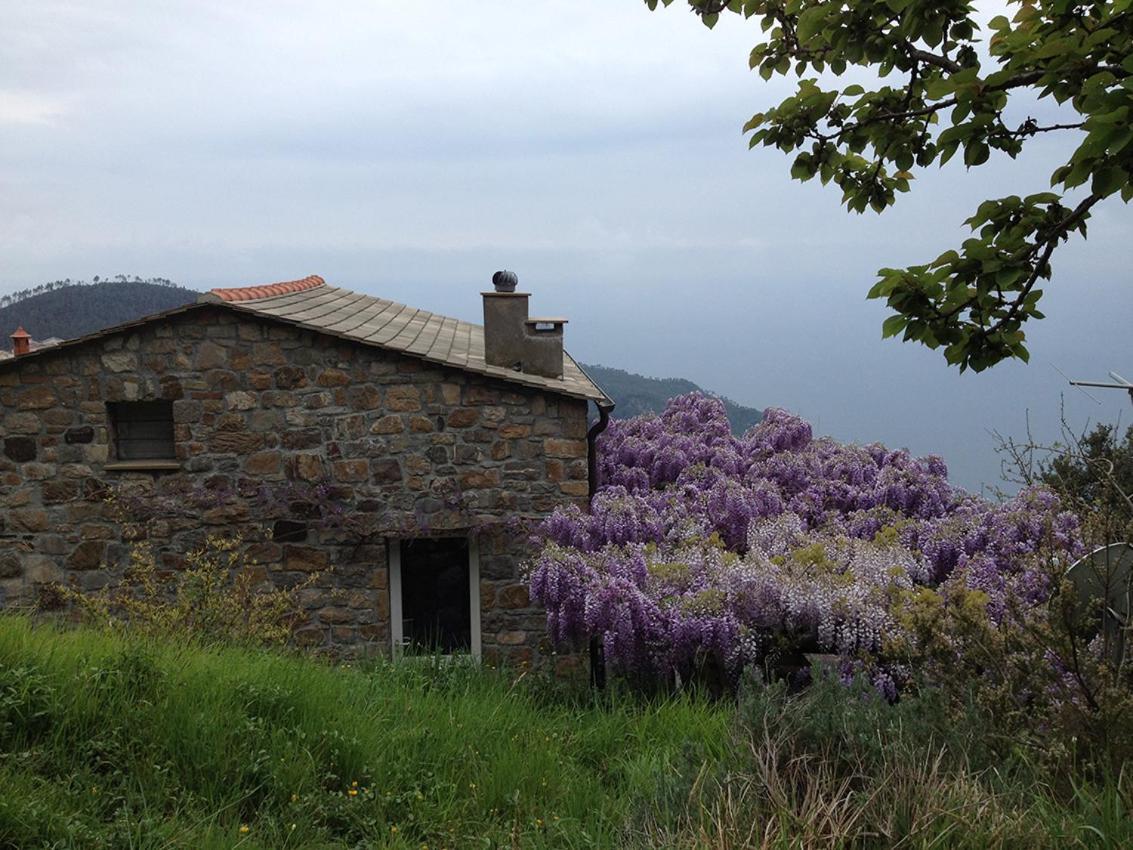 Cottage La Torre Del Pittore Bonassola Exteriör bild