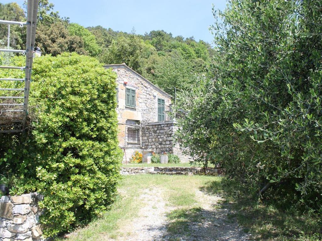 Cottage La Torre Del Pittore Bonassola Exteriör bild