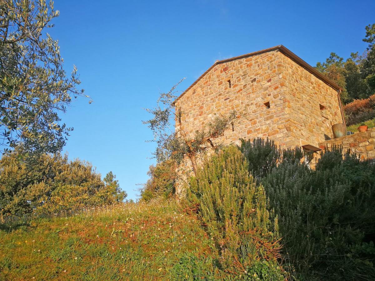 Cottage La Torre Del Pittore Bonassola Exteriör bild